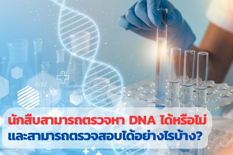 ตรวจพิสูจน์DNA, นักสืบตรวจหาDNA, สืบหาบุคคลด้วยDNA, ระบุตัวตยด้วยDNA, ตรวจสอบความสัมพันธ์,