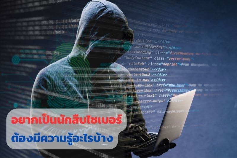 อาชีพนักสืบ, นักสืบไซเบอร์, นักสืบออนไลน์, นักสืบ, นักสืบเอกชน, บริษัทนักสืบ,